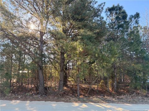 Brownestone Lane Dunn NC 28334