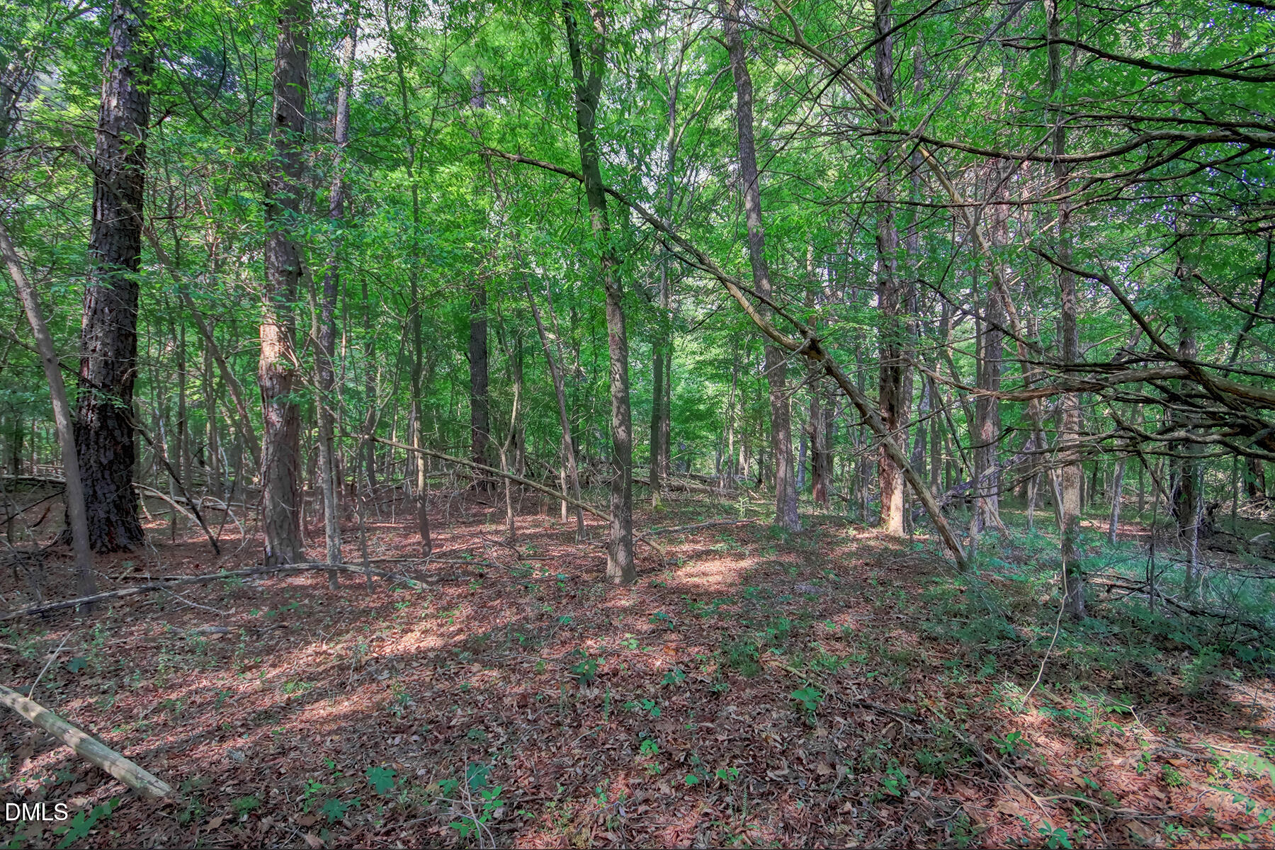 000 Rumley Road