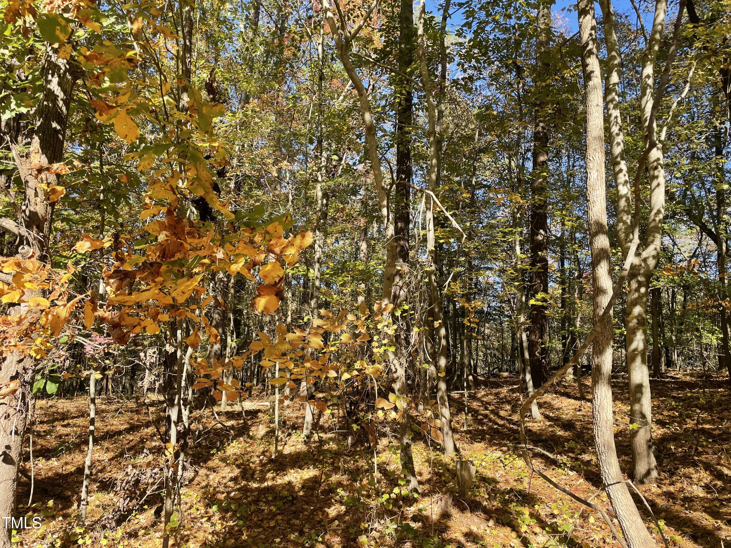 5021 Griffin Farm Lane