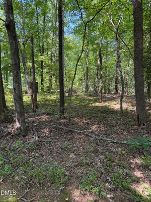 153 OMAHA DR, LOUISBURG, NC 27549 - Image 45b09a4a6071f8fb99ded4892f3f51ec/2191716404