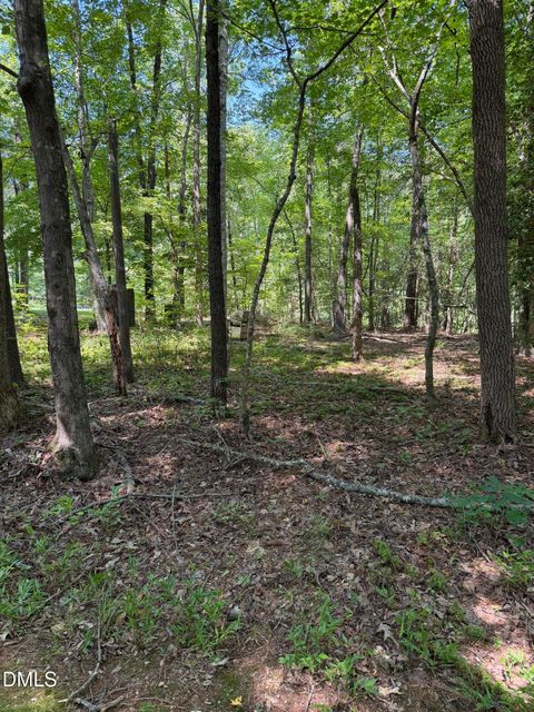 Photo of 153 Omaha Drive, Louisburg, NC 27549 (MLS # 10178994)