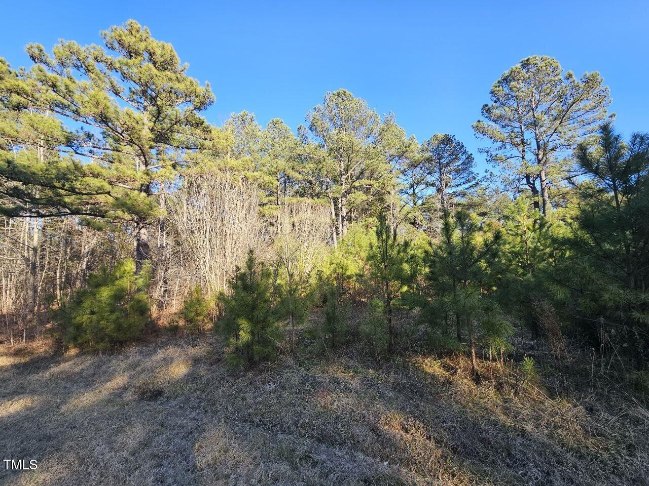 0 Mount Olivet Church Road