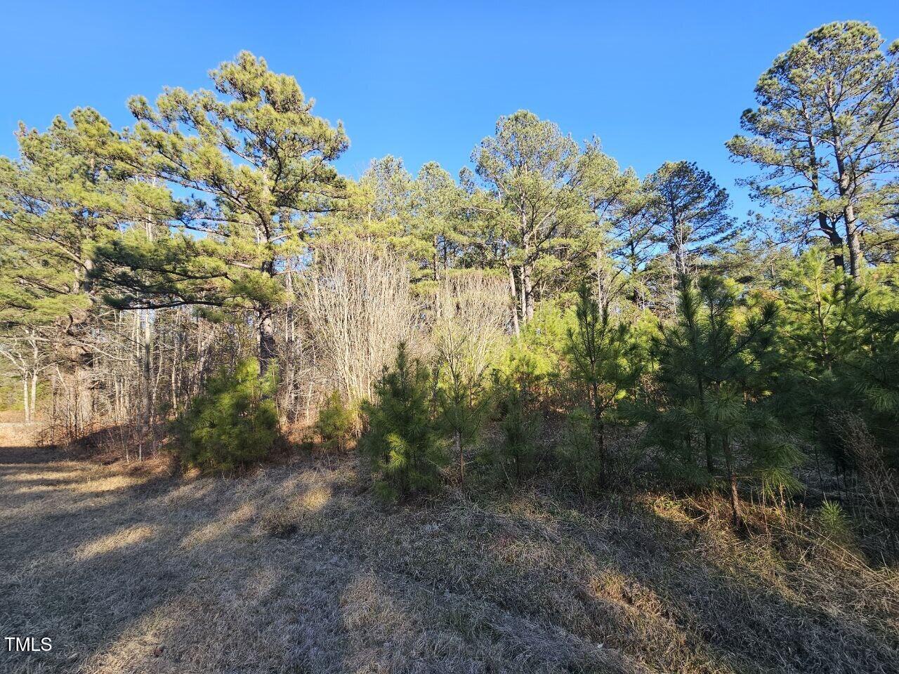 0 Mount Olivet Church Road