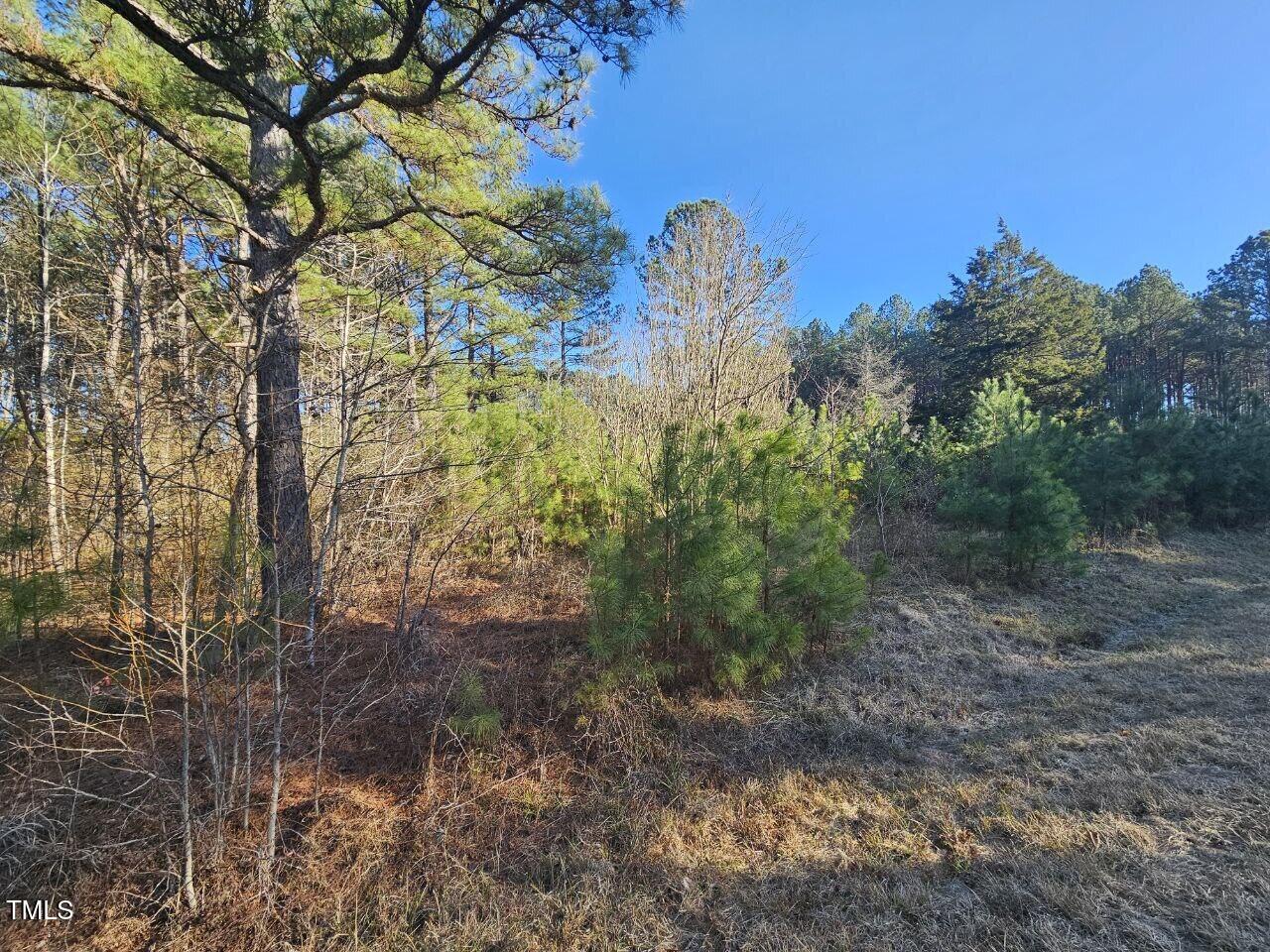 0 Mount Olivet Church Road