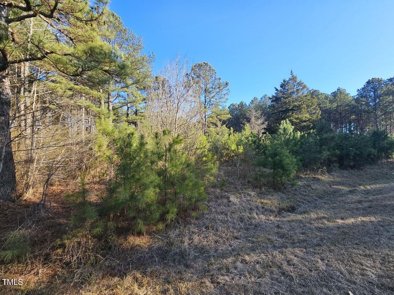 0 Mount Olivet Church Road