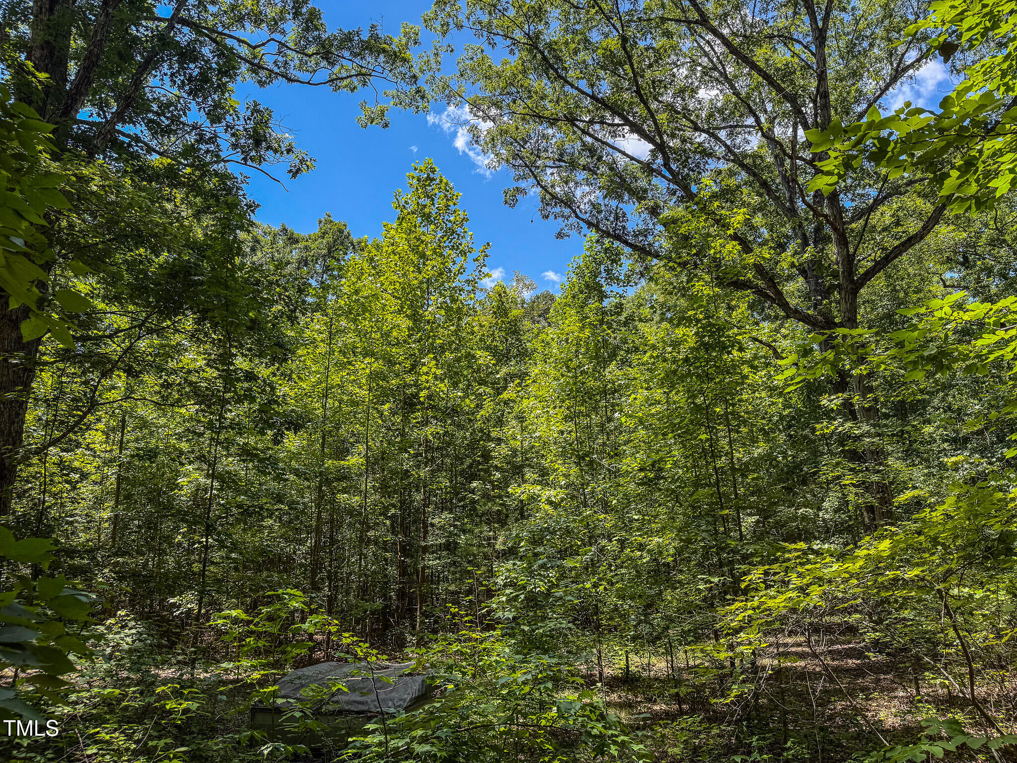 8 Acres Overlook Drive