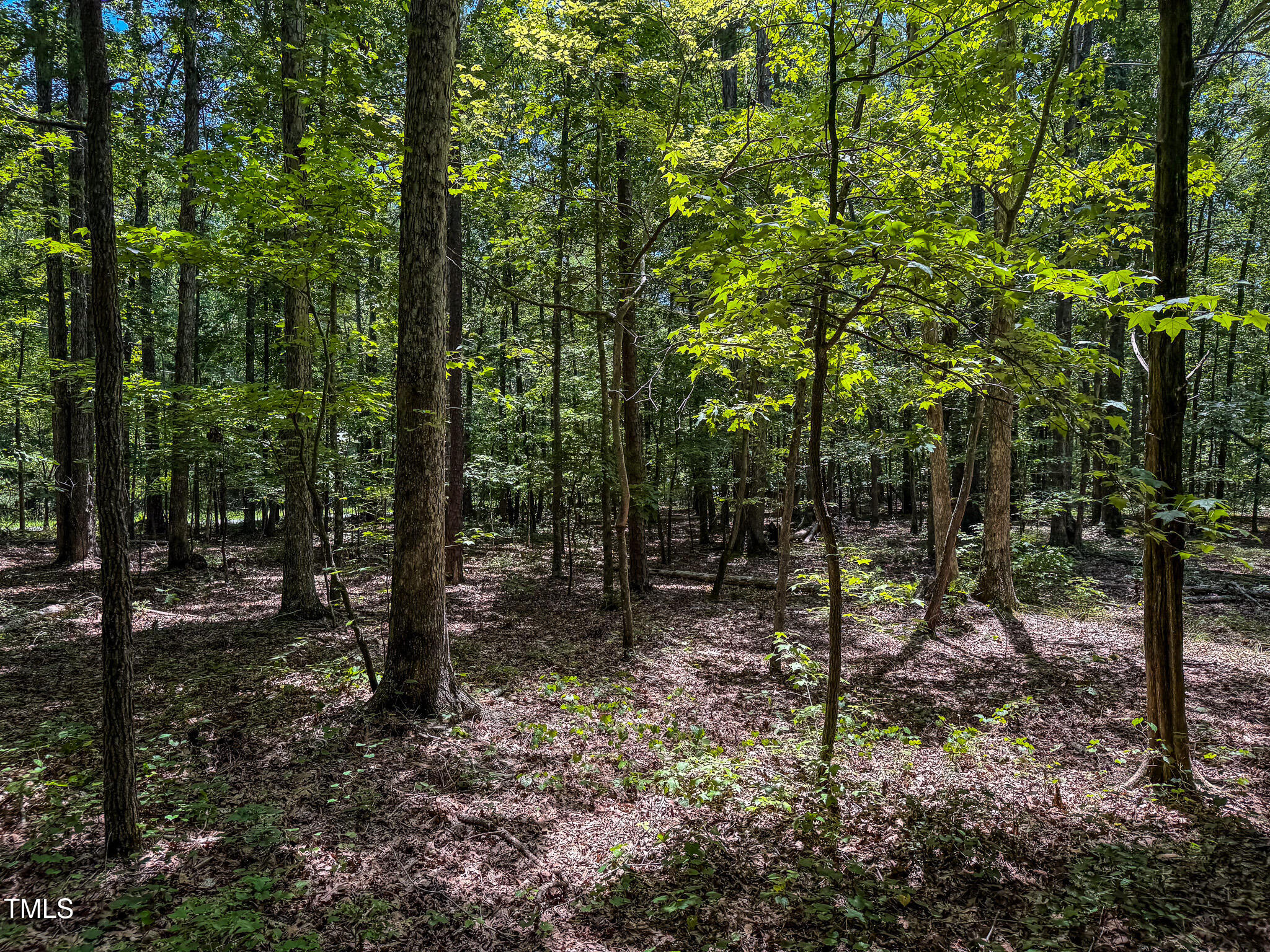 8 Acres Overlook Drive
