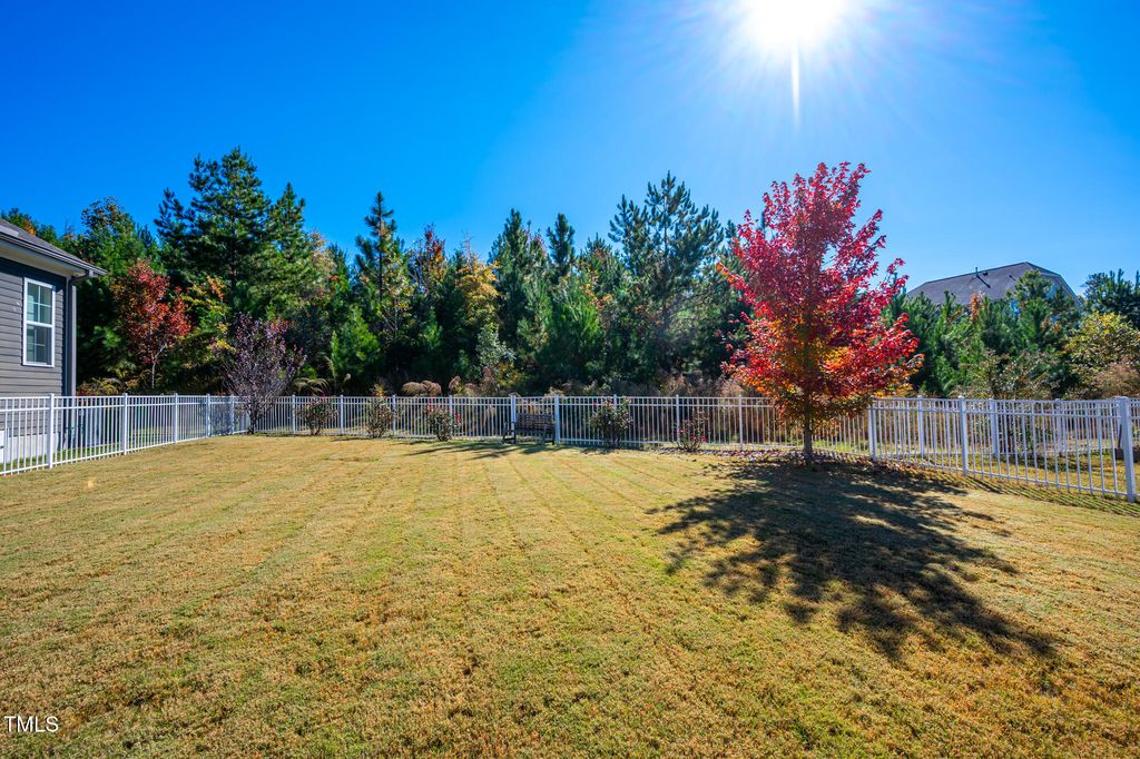 listing image 51