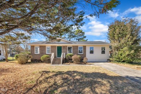 98 S Denise Avenue Coats NC 27521