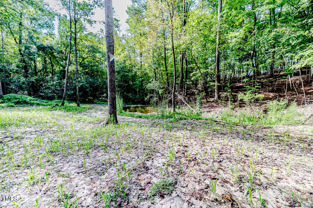 997 Jackson Road