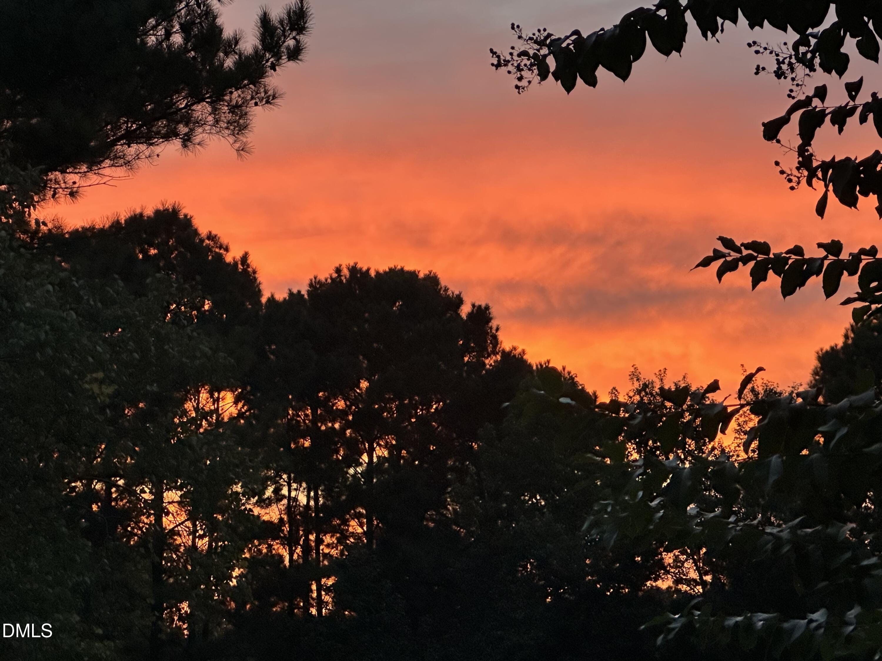 1009 Binkley Chapel Court