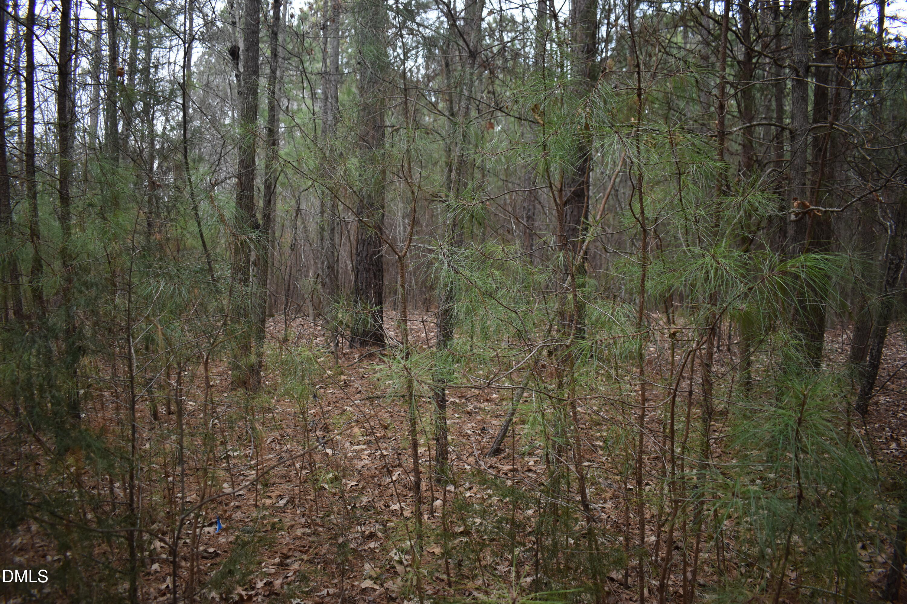 257 Piney Grove Church Road