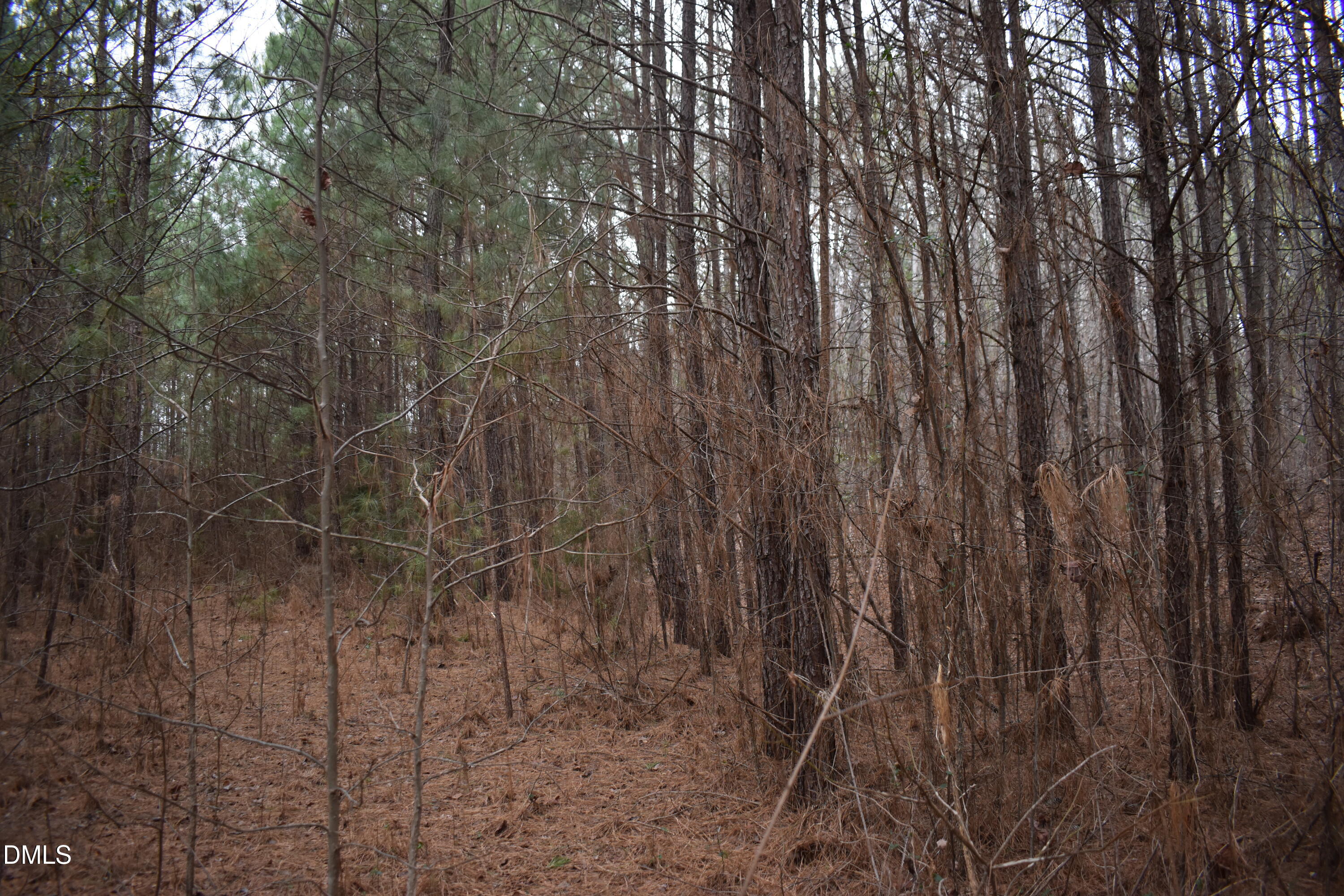 257 Piney Grove Church Road