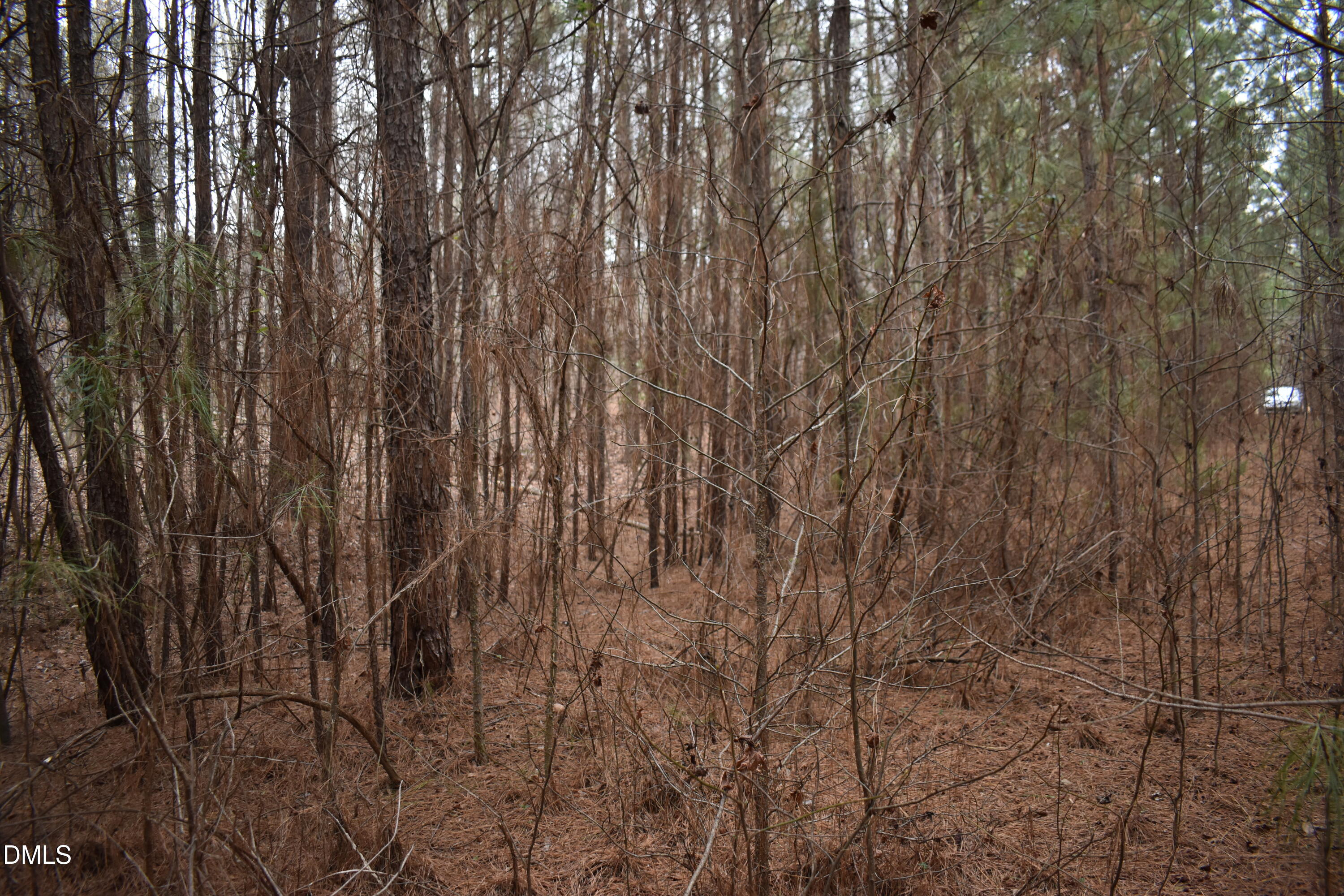 257 Piney Grove Church Road