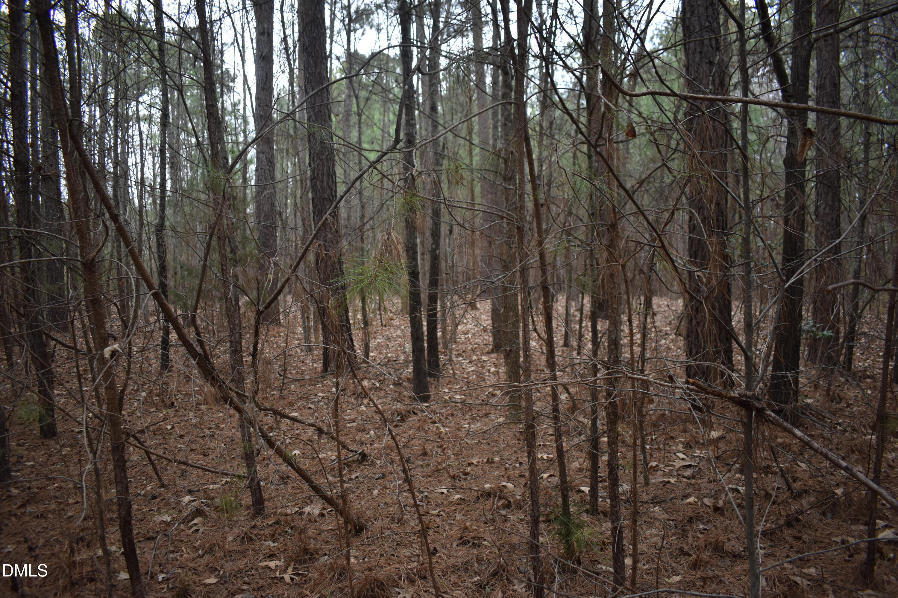 257 Piney Grove Church Road