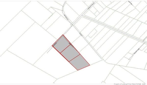 HARLEYVILLE ROAD, ROWLAND, NC 28383 - Image 47acb132e7ce99dbc28db56037178ea3/2198561585