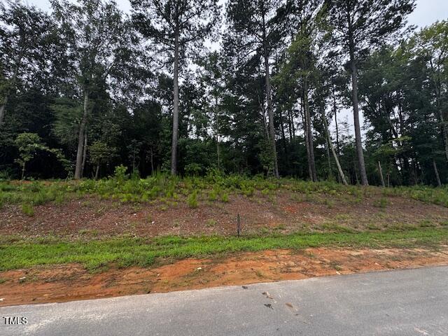 331 Meadow Walk Drive