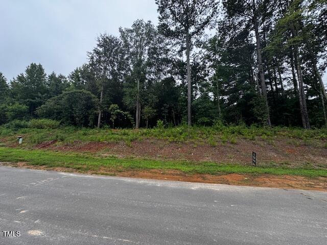 331 Meadow Walk Drive
