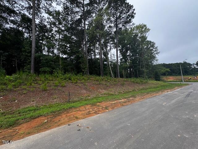 331 Meadow Walk Drive