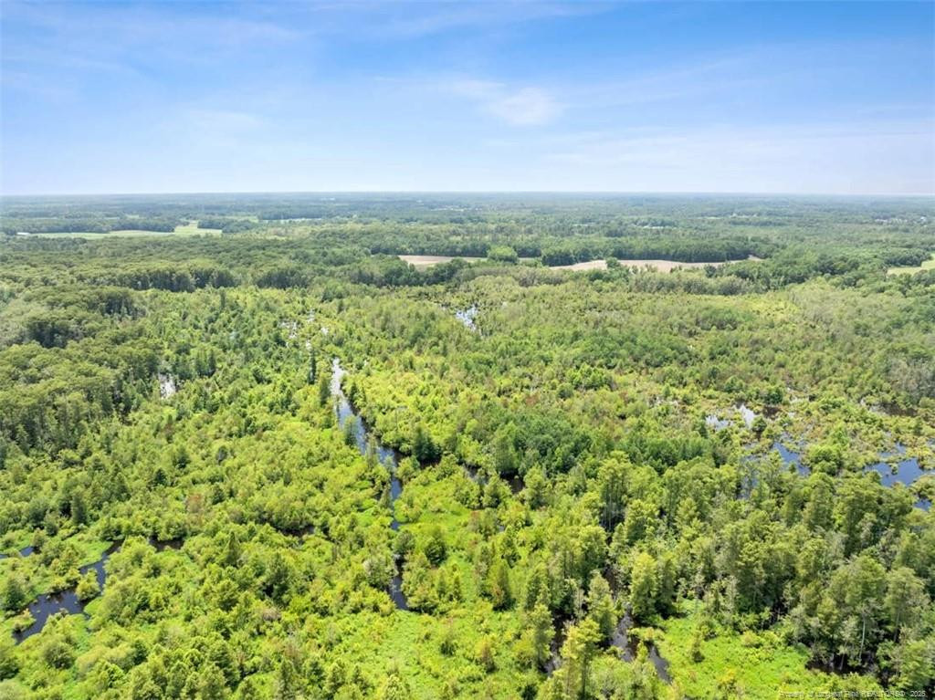 Bend of River Road Road