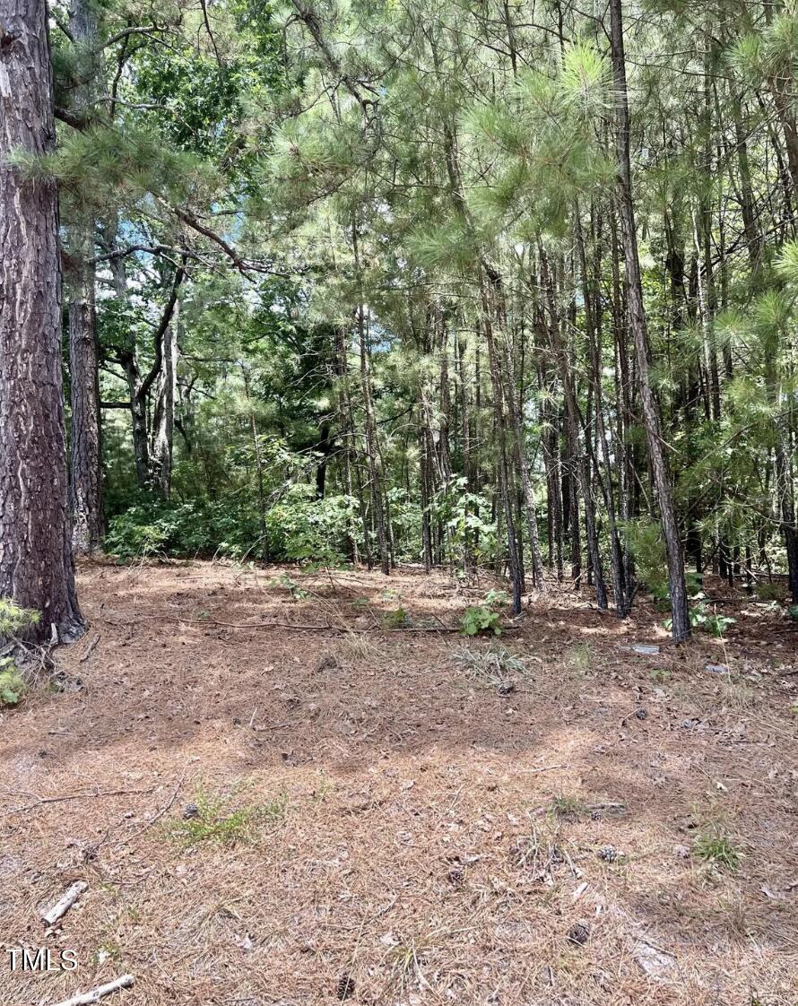 295 Fox Park Road