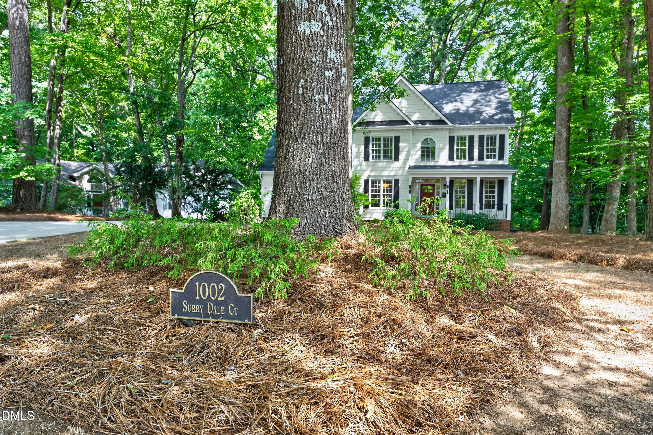 1002 Surry Dale Court