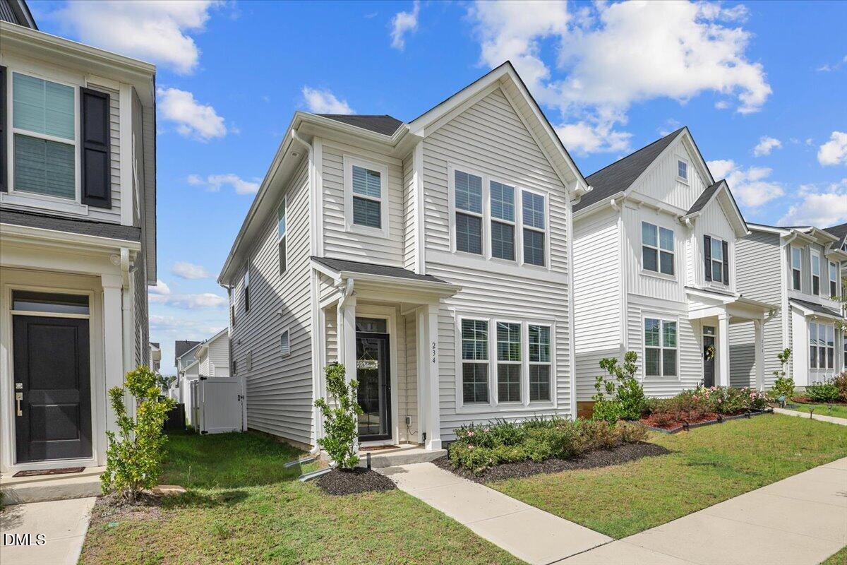 234 Pansy Park