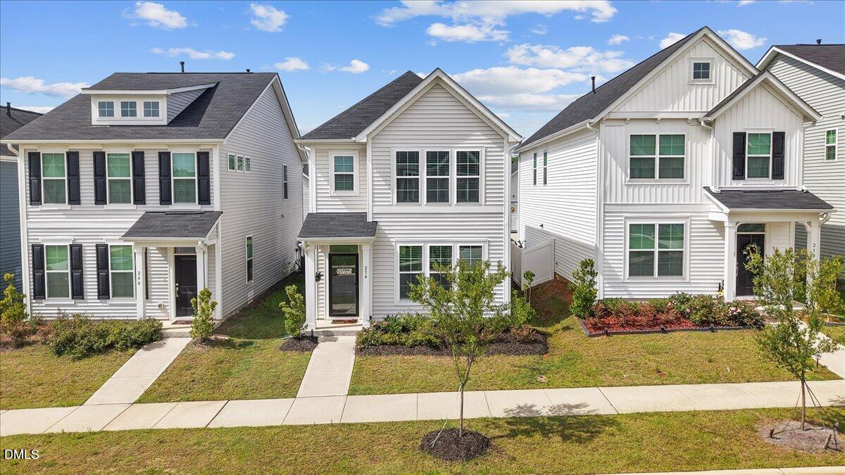 234 Pansy Park