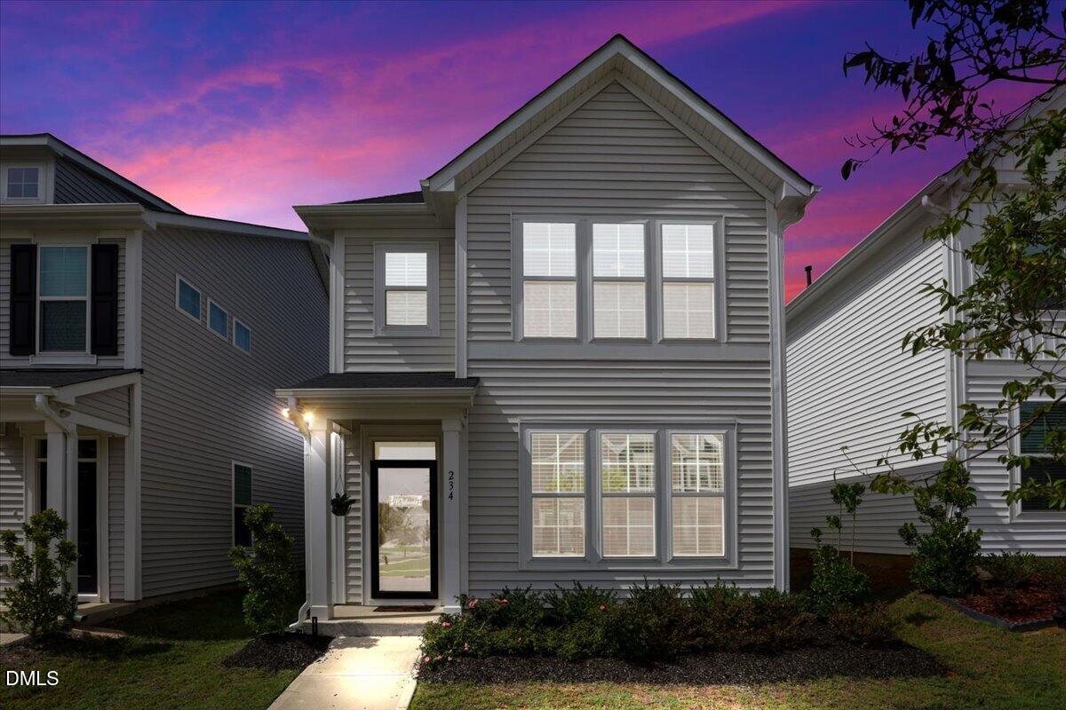 234 Pansy Park
