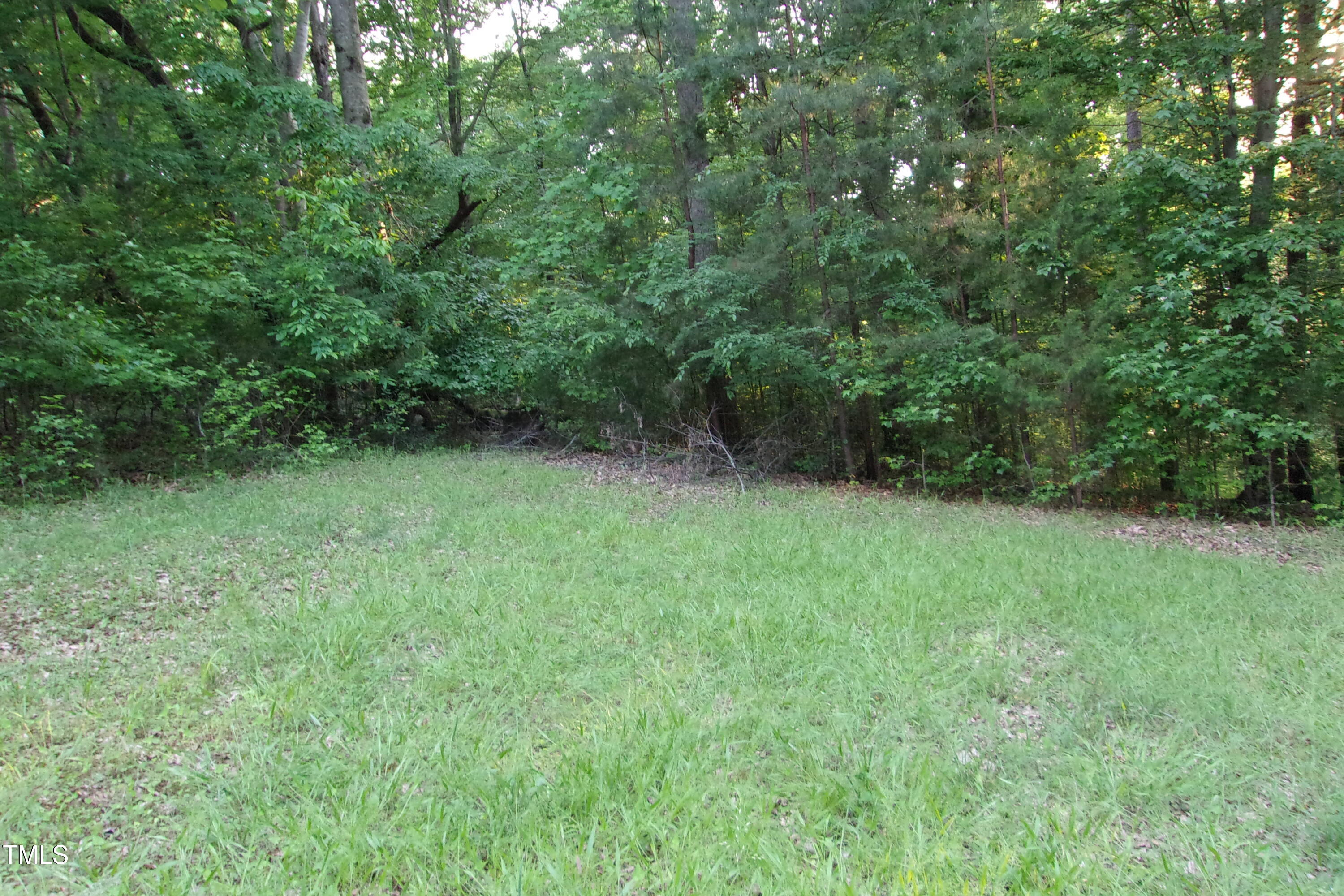 297 Fork Junction Road