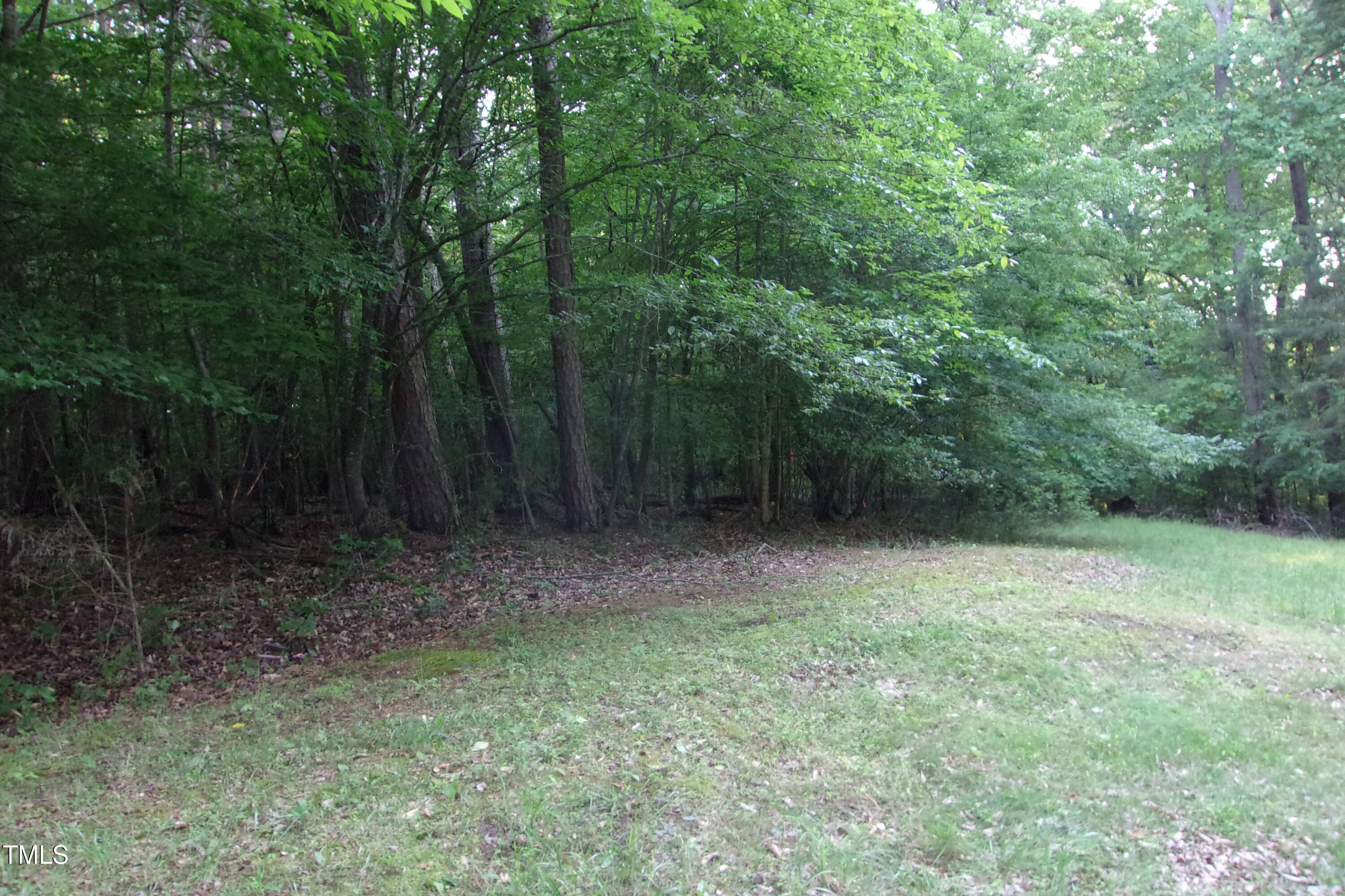 297 Fork Junction Road