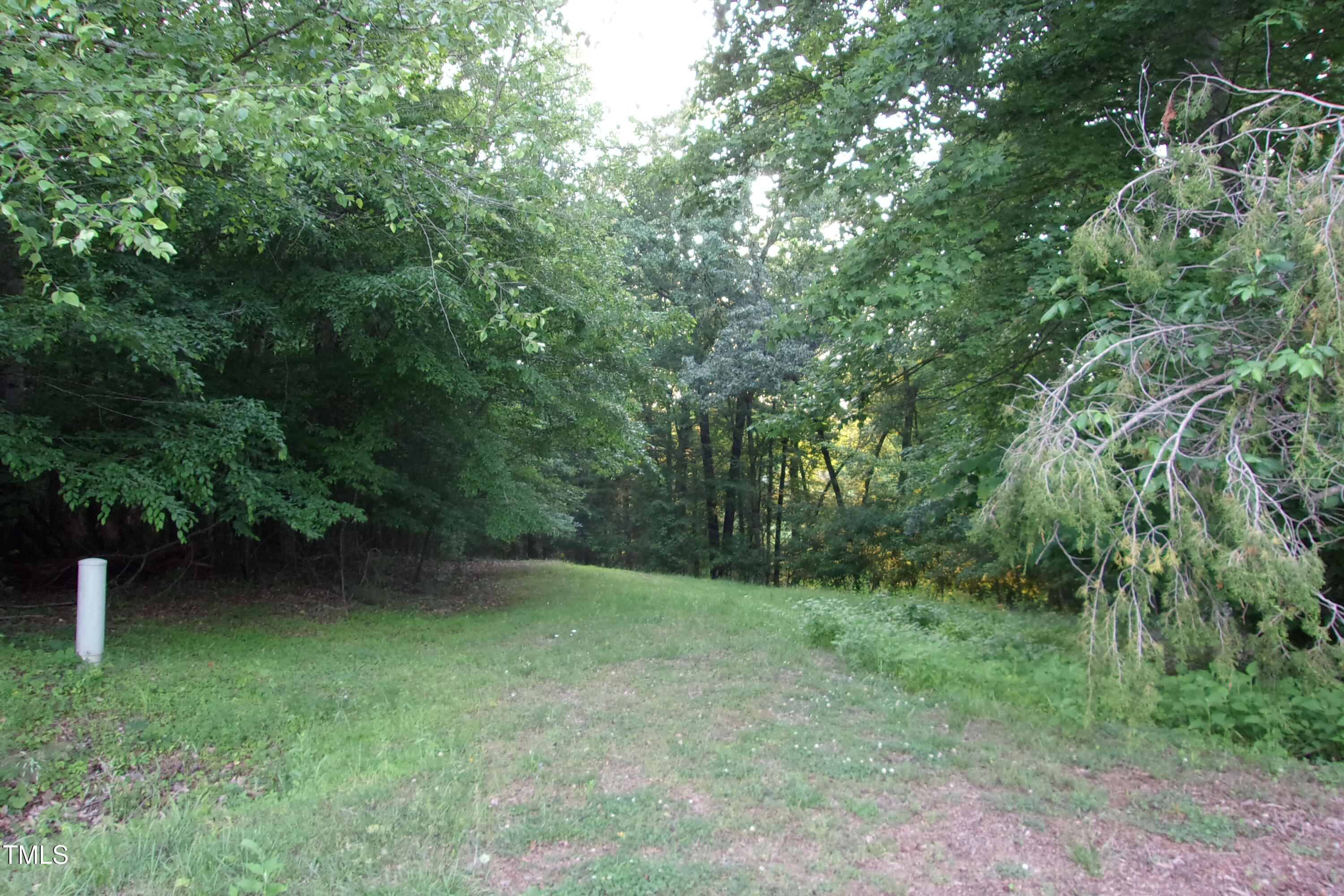 297 Fork Junction Road