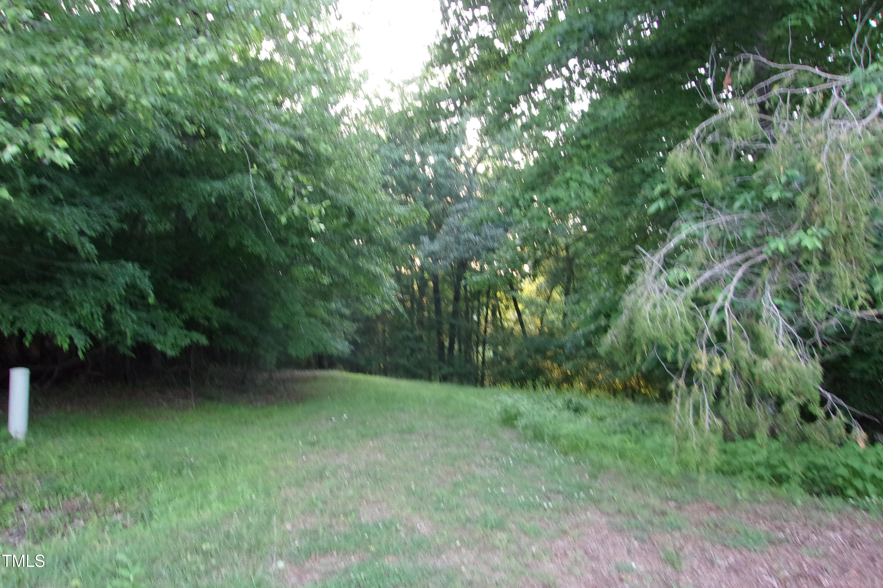 297 Fork Junction Road