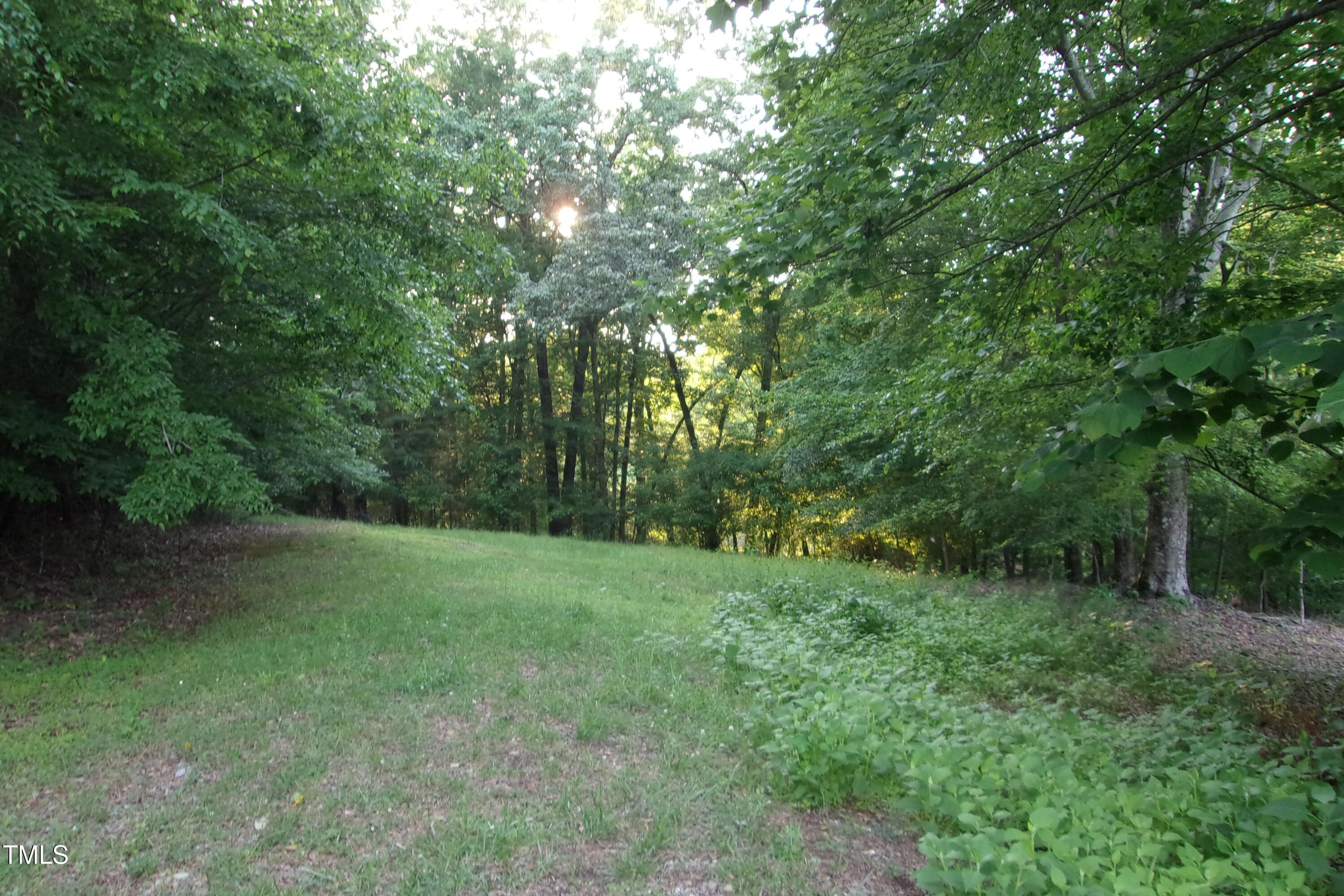 297 Fork Junction Road