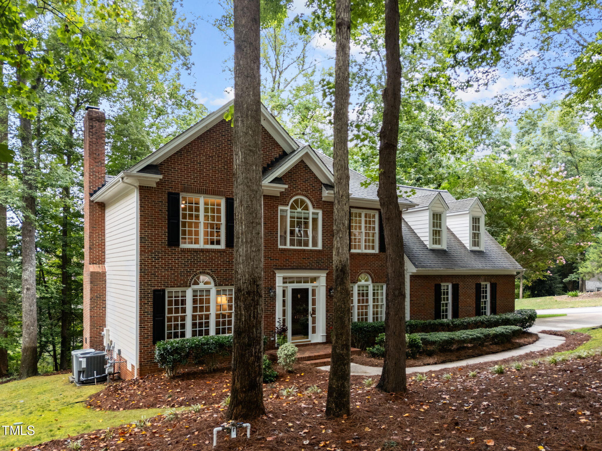4717 Shadow Ridge Court