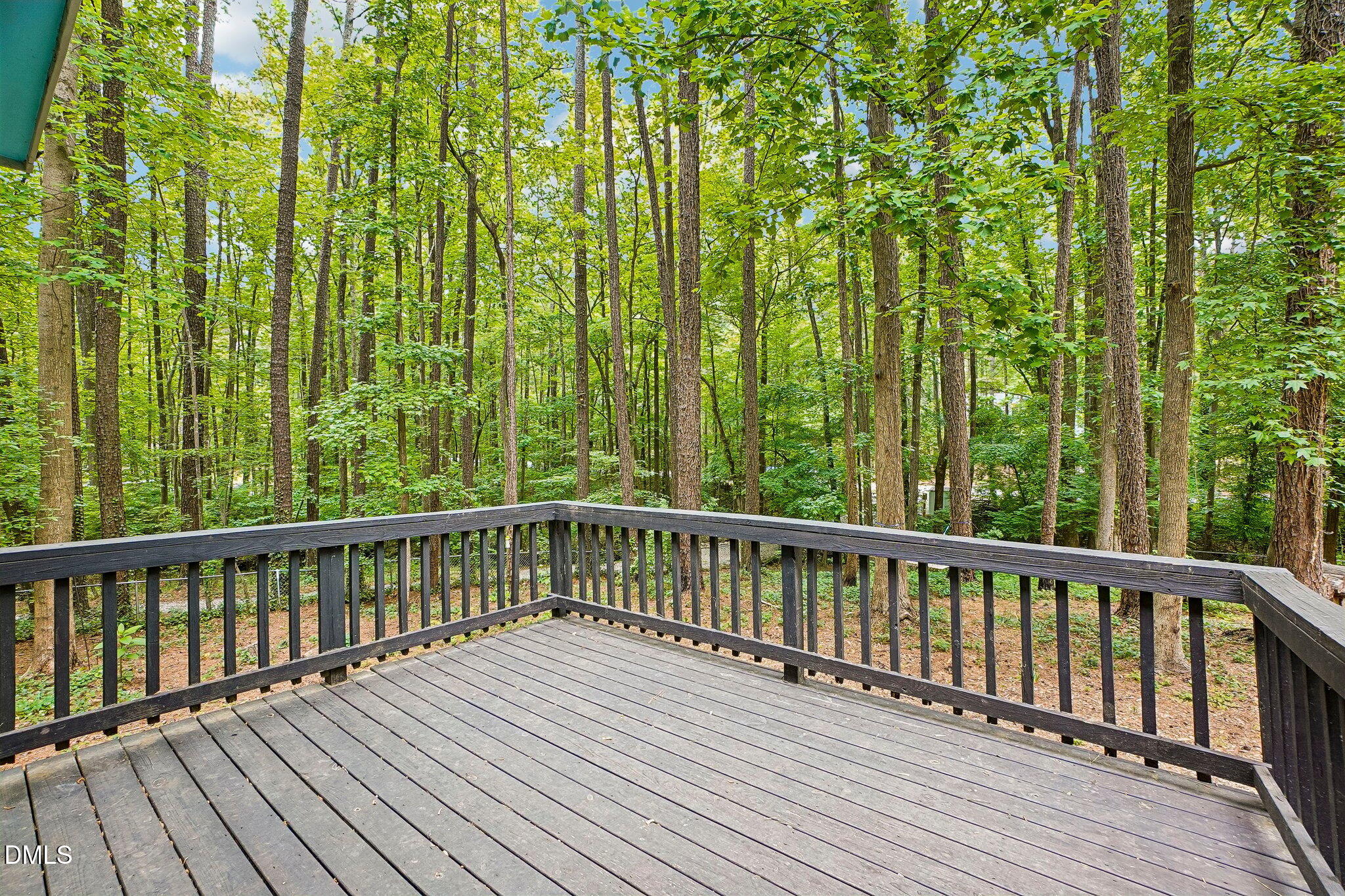 3116 Avondale Court