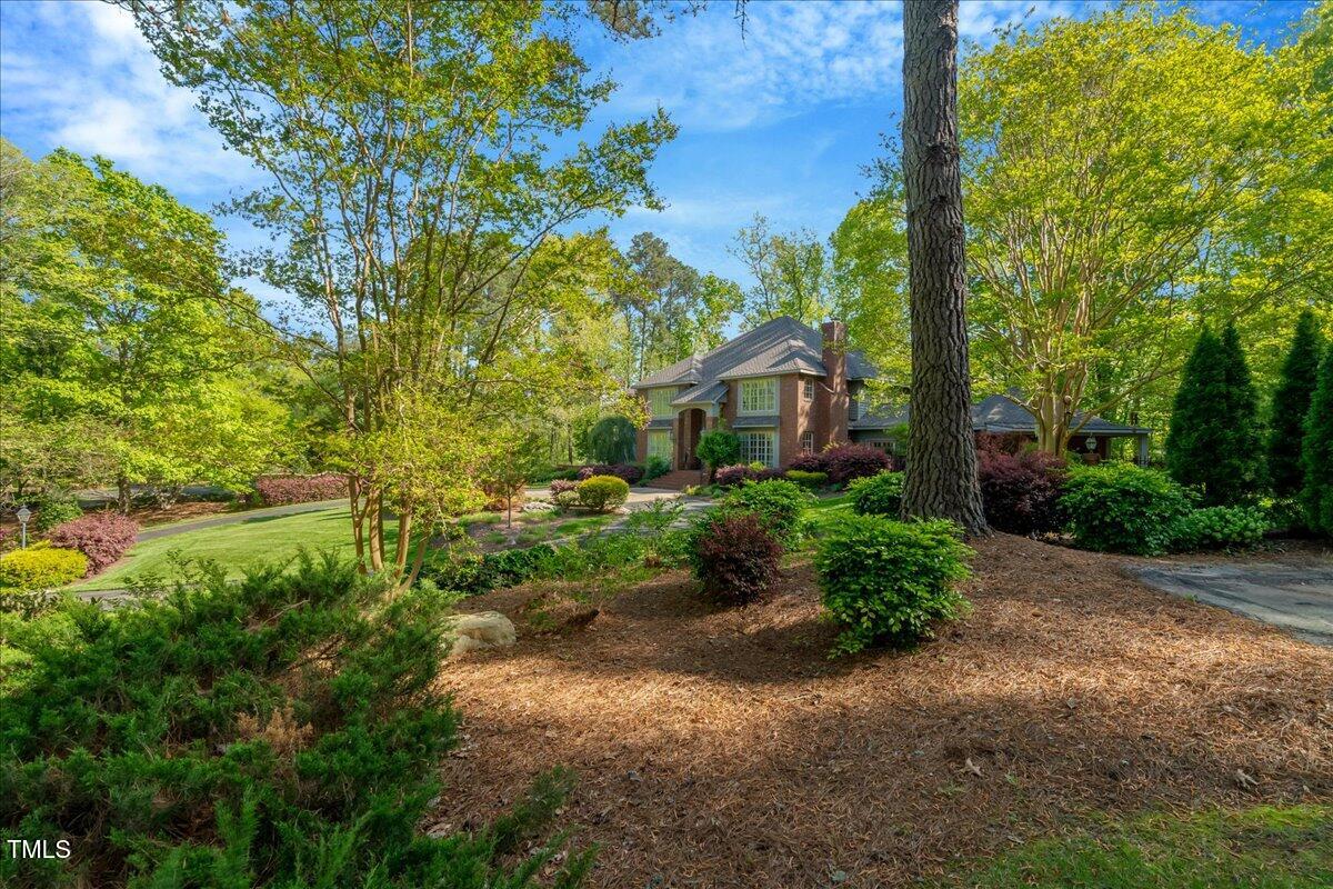 3203 Cameron Drive