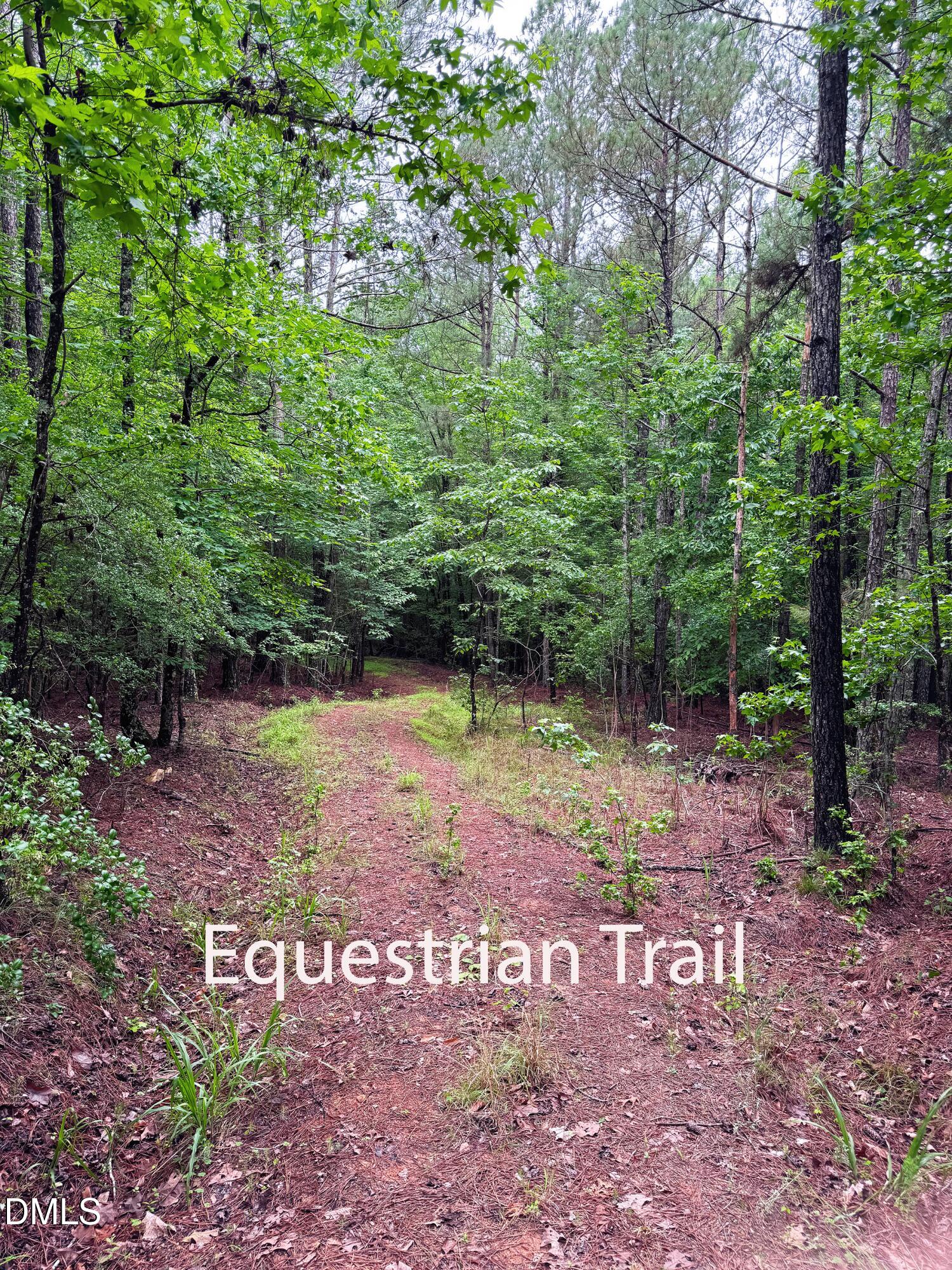 0 Saponi Trail