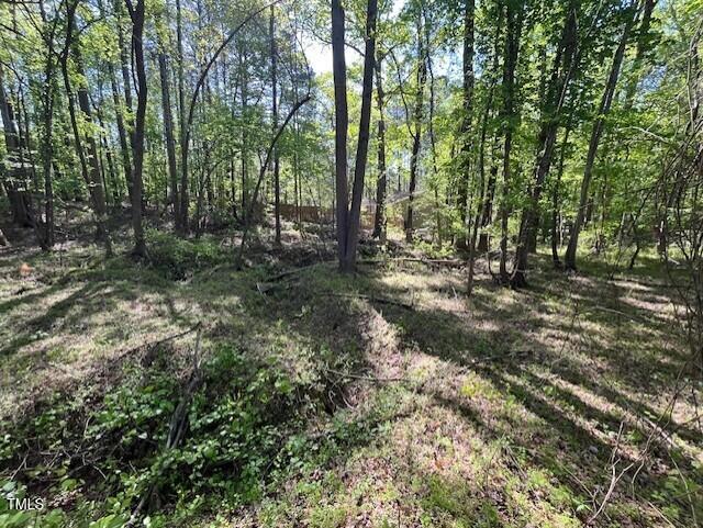 4300&4302 Cheek Road