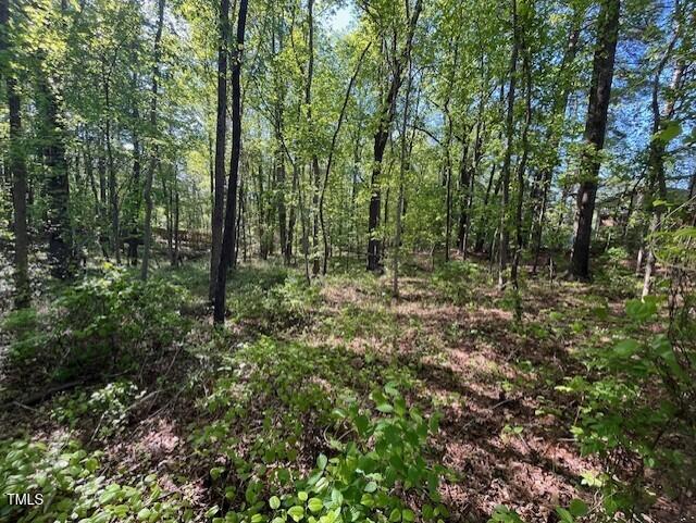 4300&4302 Cheek Road
