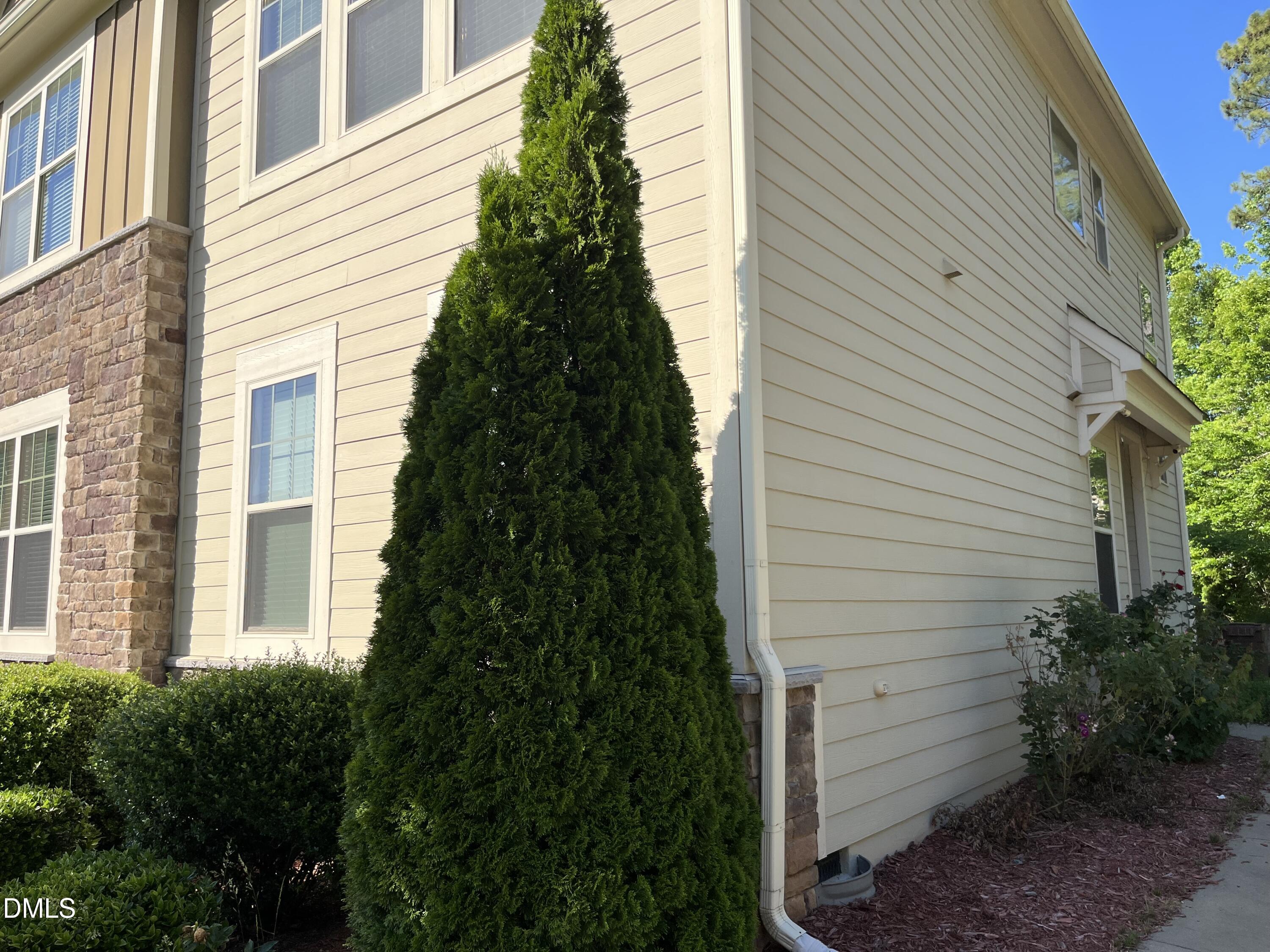 117 Winterview Place