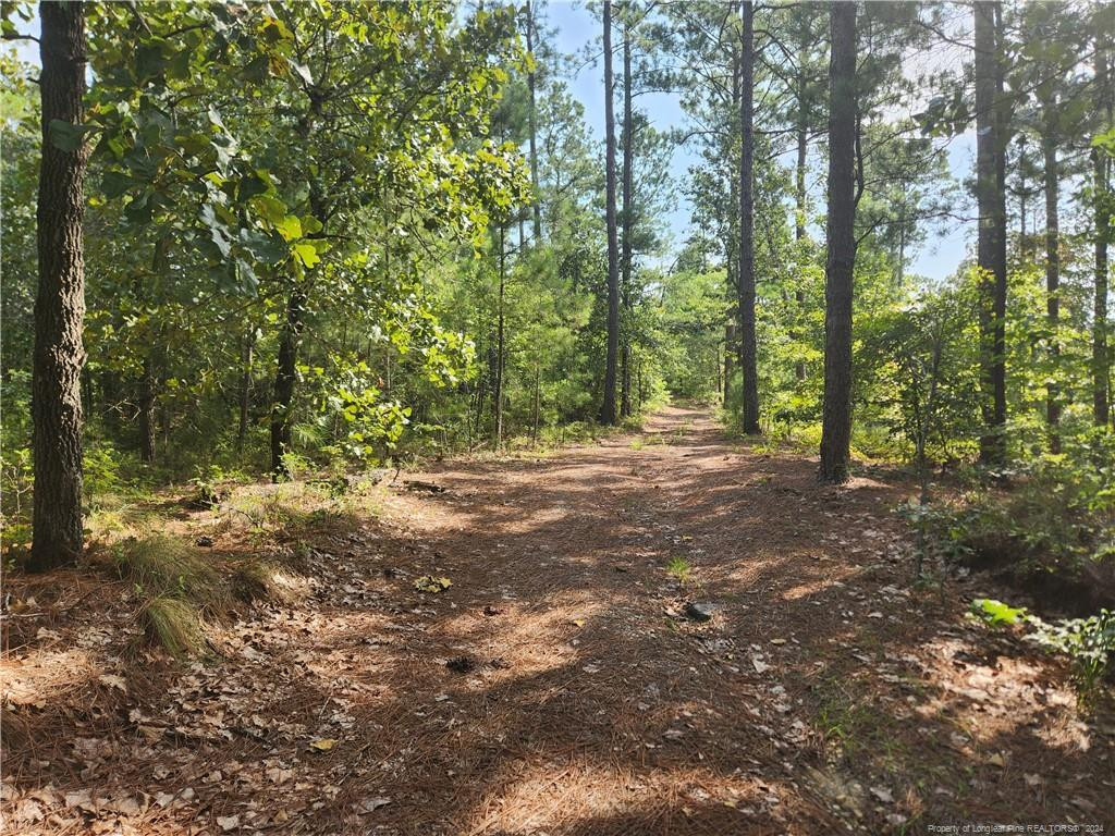 6518 Stone Mountain Farm Road