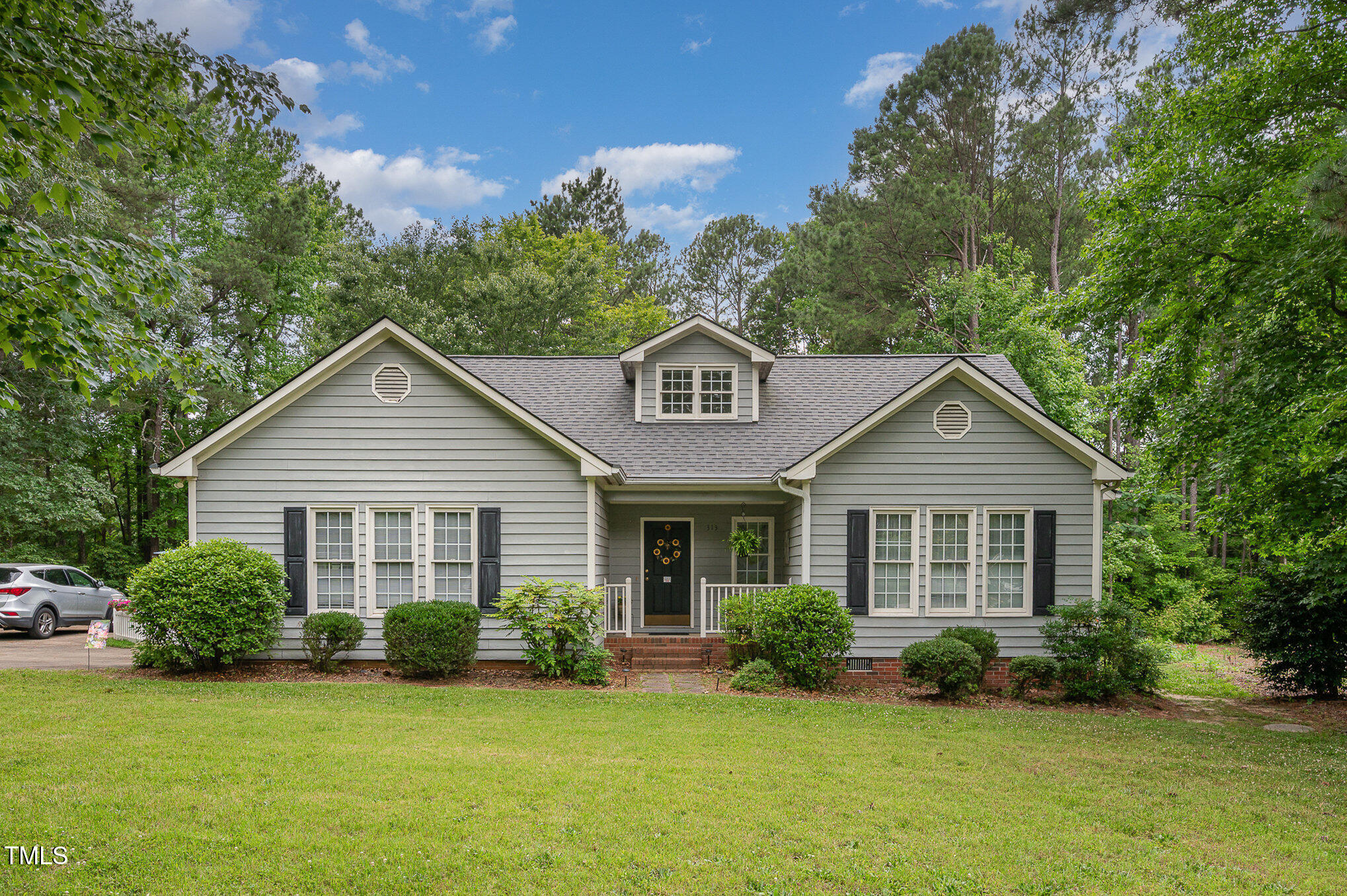 313 Teresa Drive
