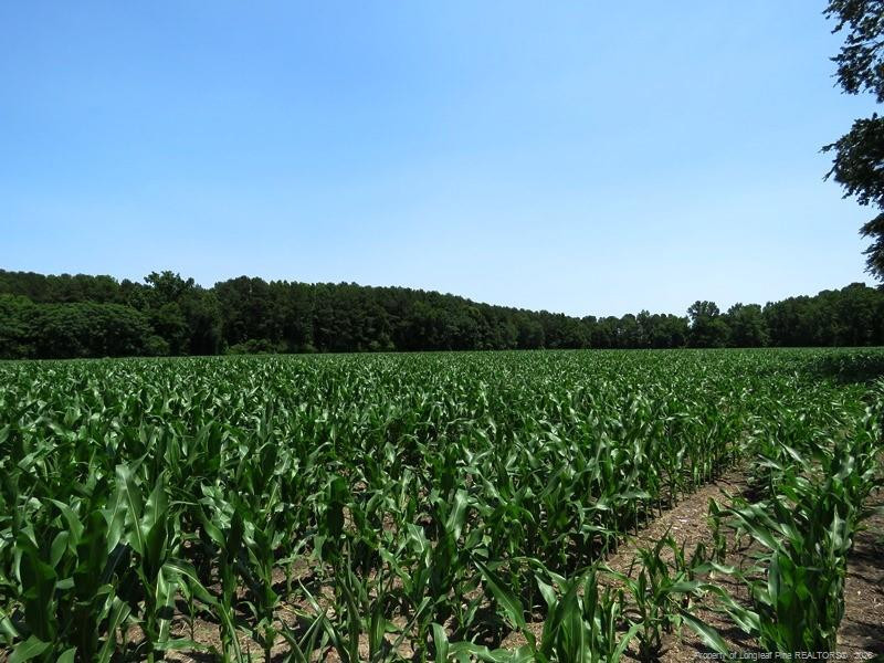 TBD NC Hwy 71 Highway