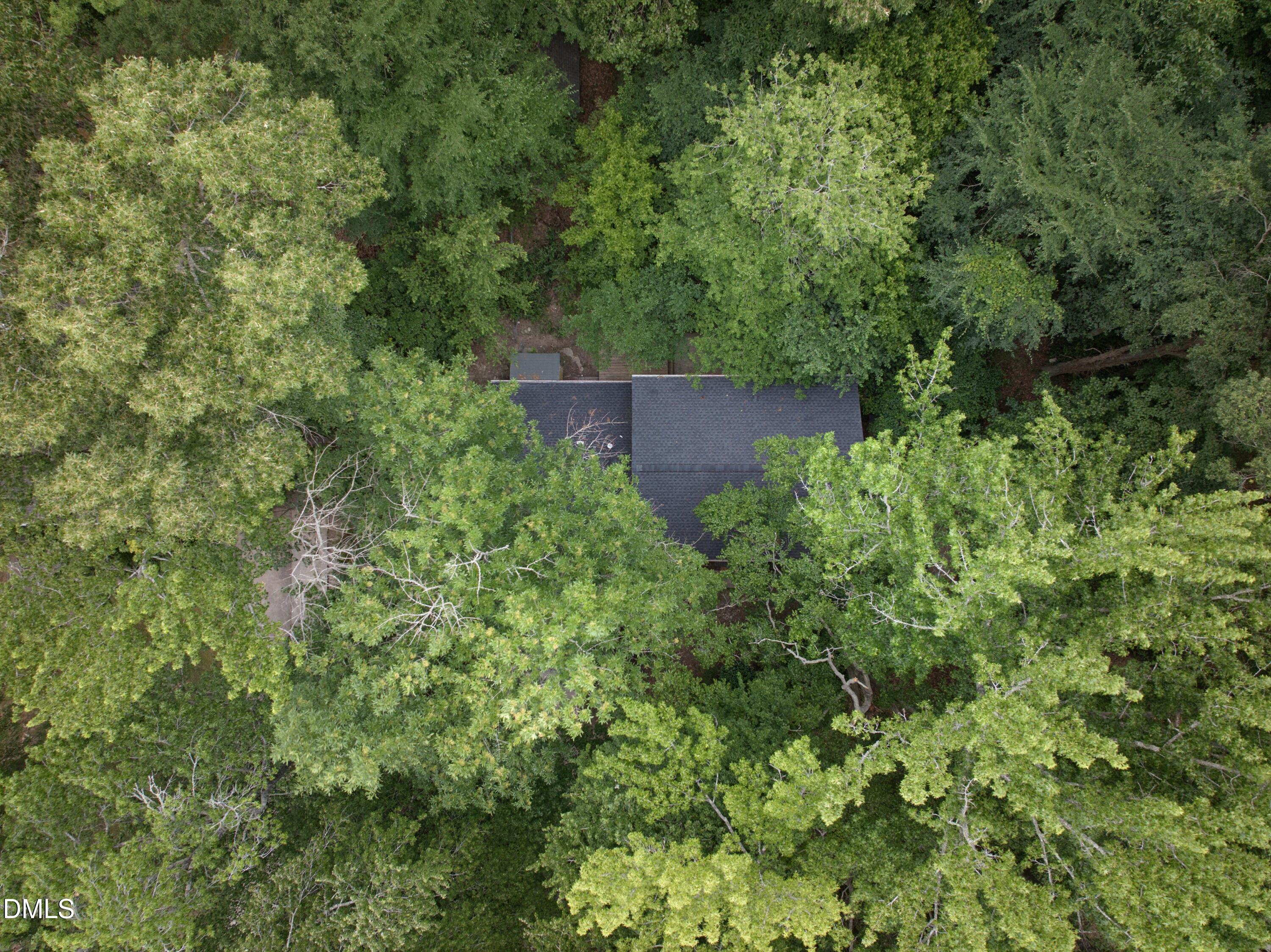 505 Longleaf Drive