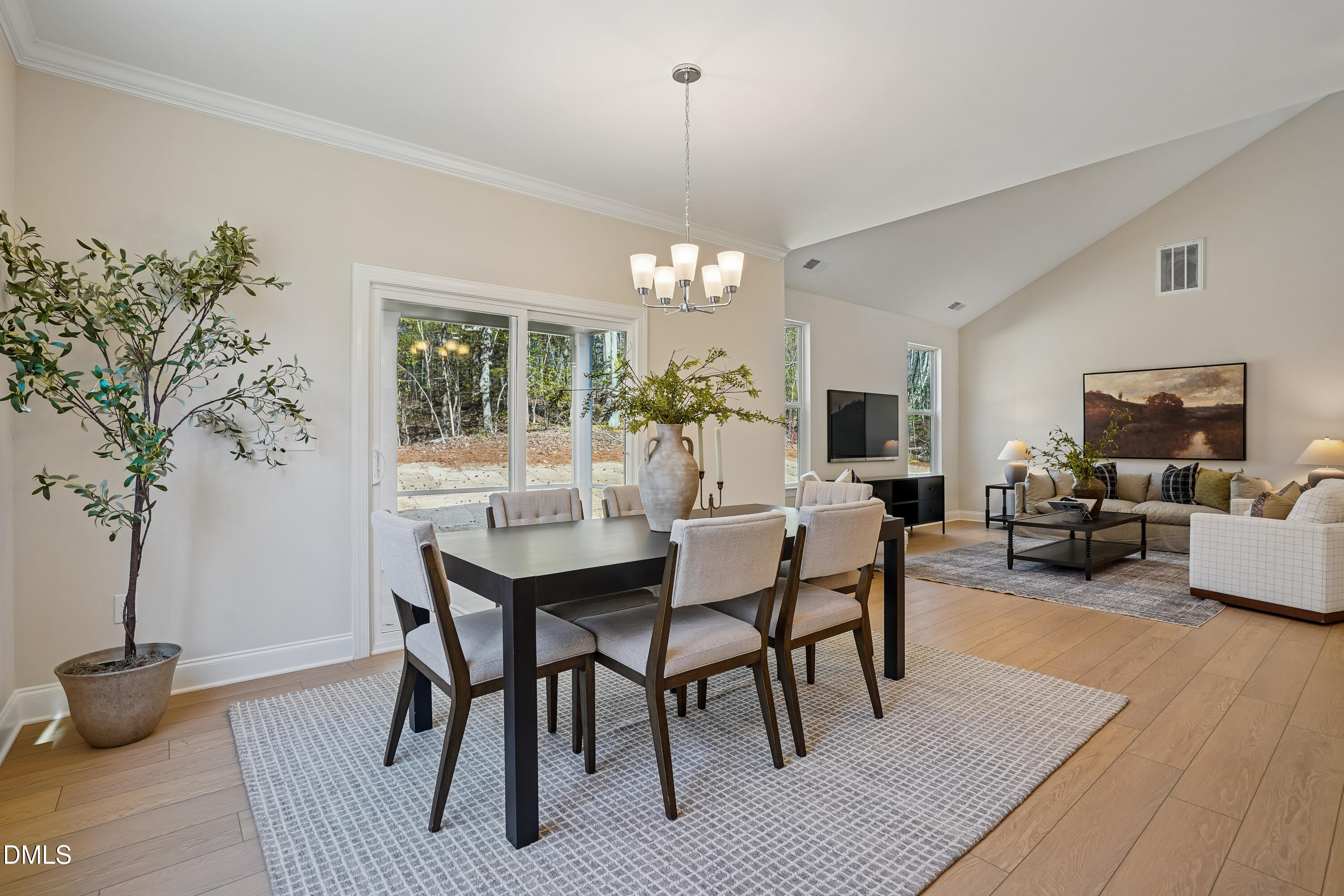 545 Sauls Meadow Lane 41