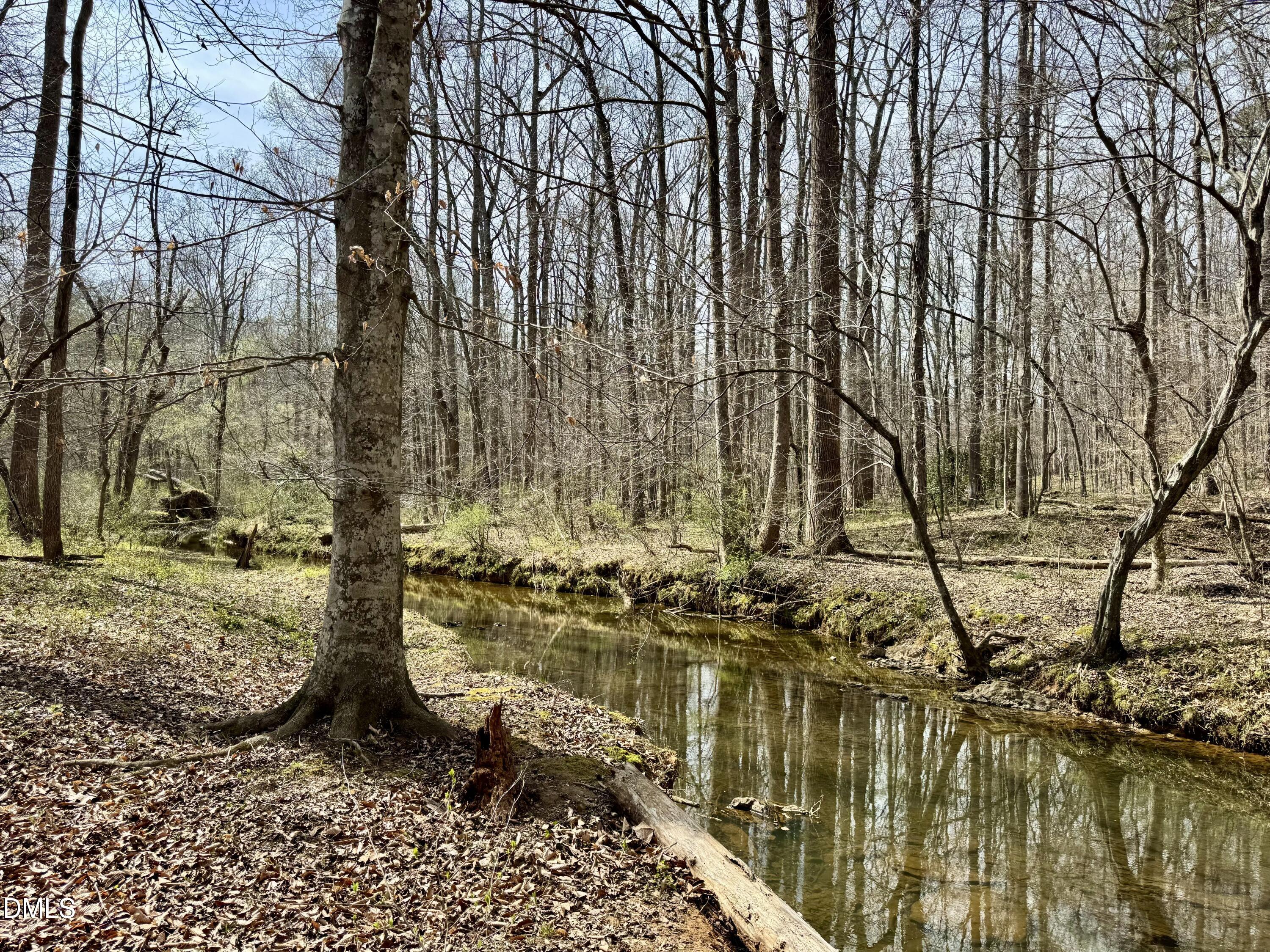 1025 Dairyland Road