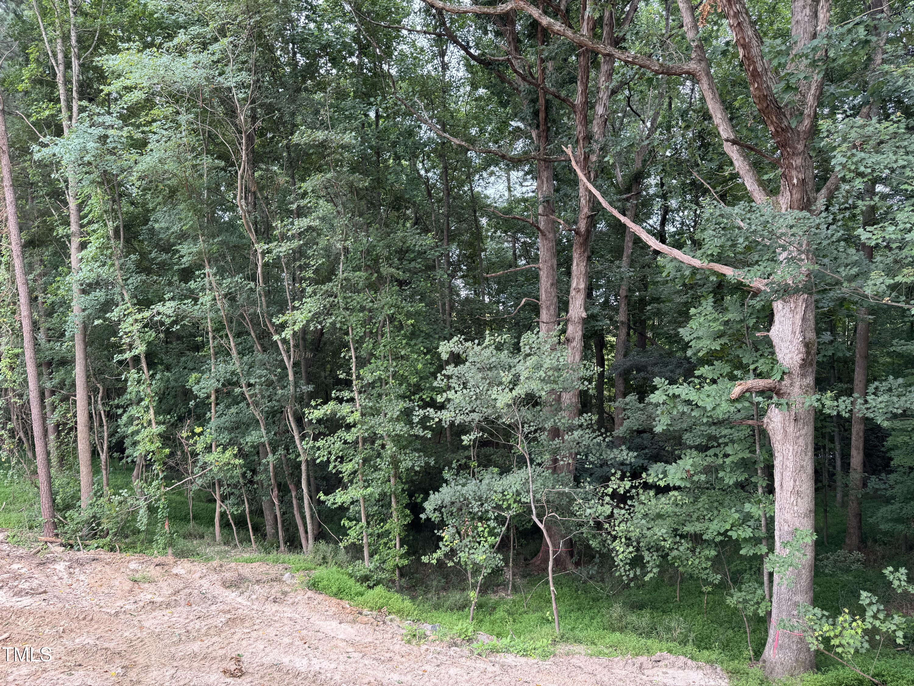Lot 67 Sage Court