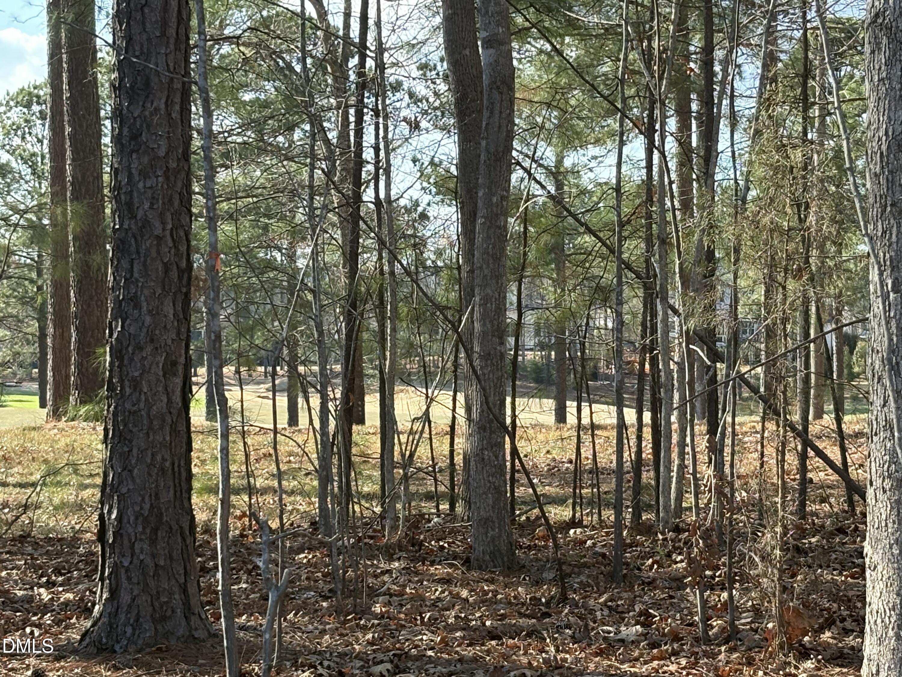 490 Chapel Ridge Drive