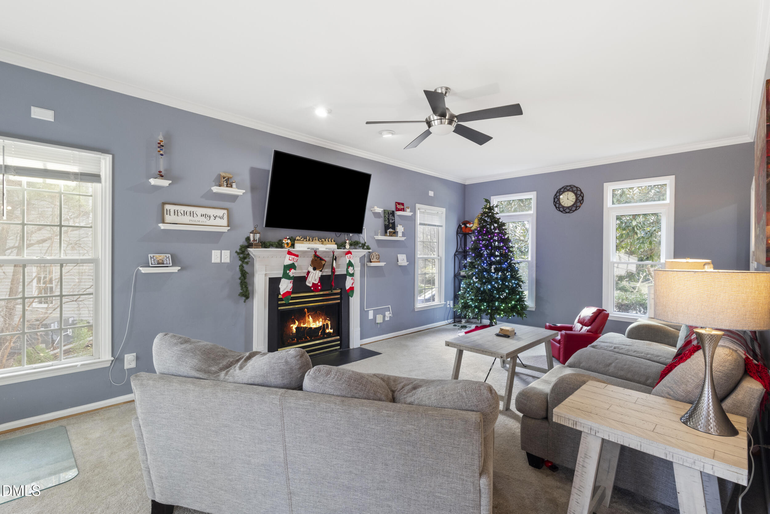 207 Forest Run Place